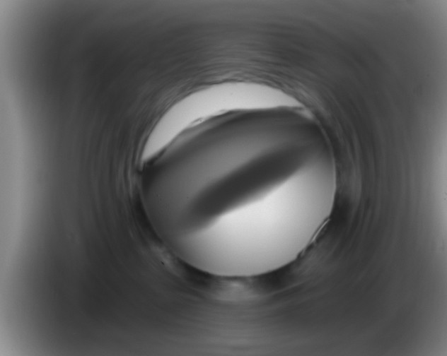 X0000084020285200703091954