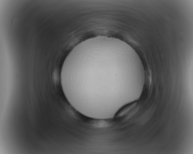 X0000084020287200703091954