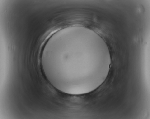 X0000084020290200703091954