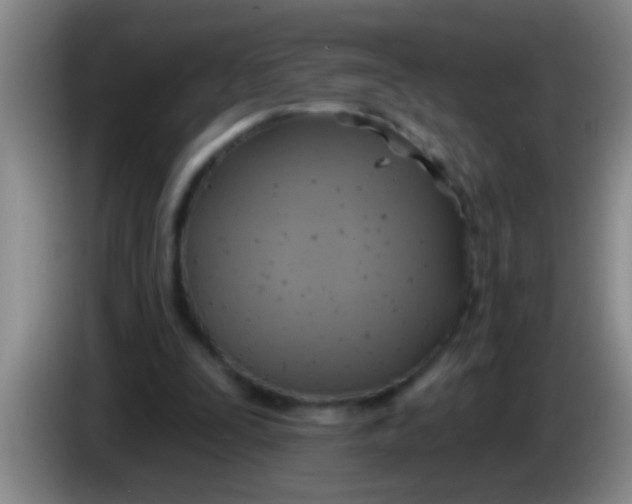 X0000084020295200703091953