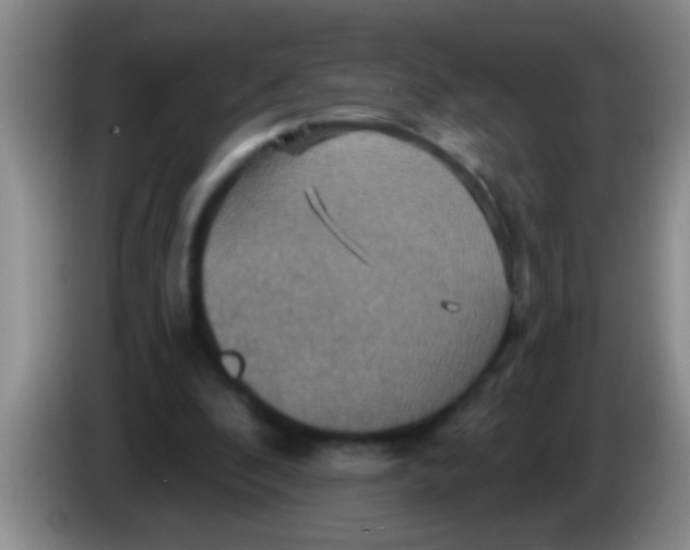 X0000084020296200703091953