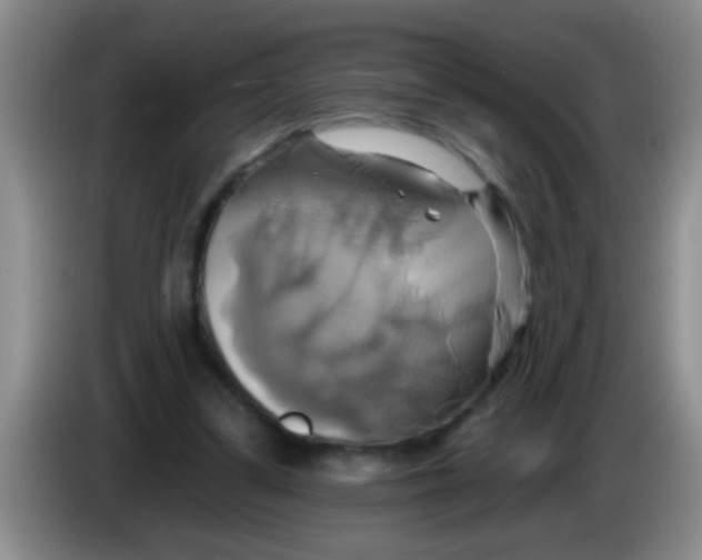 X0000084020299200703091953