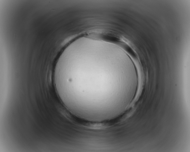 X0000084020301200703091953