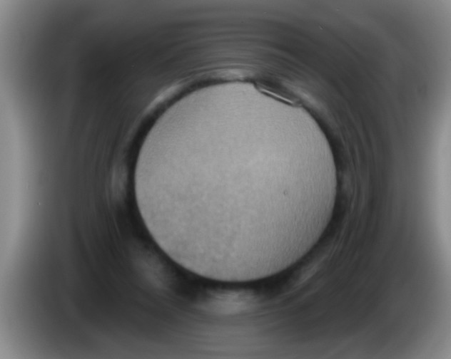 X0000084020304200703091953