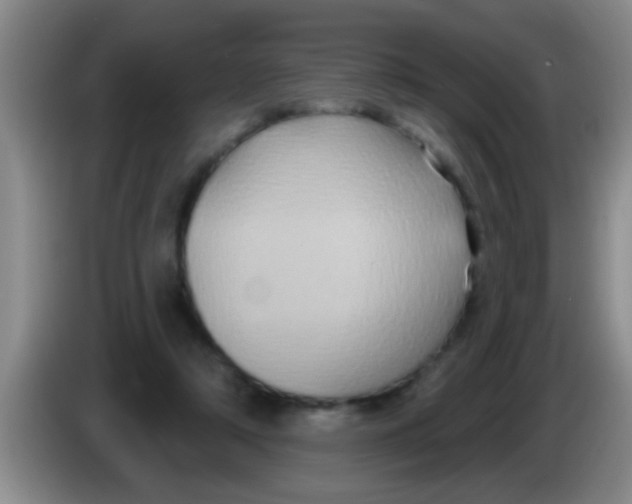 X0000084020306200703091953