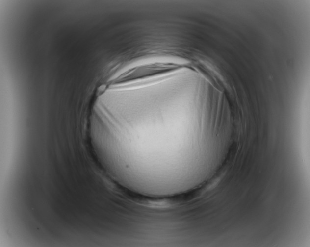 X0000084020309200703091953