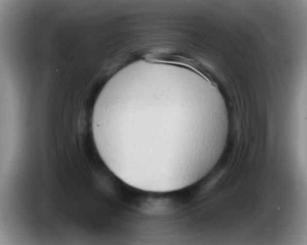 X0000084020311200703091953