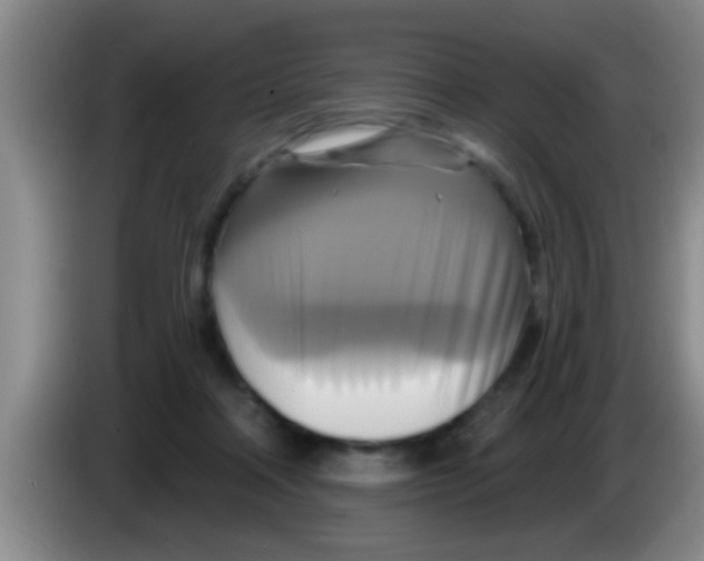 X0000084020314200703091953