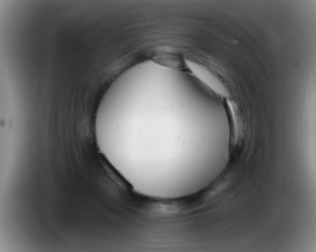 X0000084020317200703091953