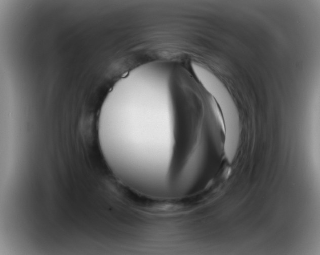 X0000084020319200703091953