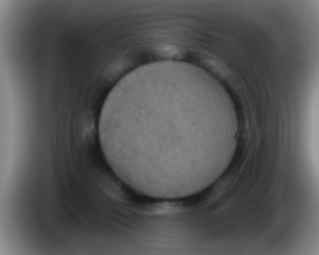 X0000084020320200703091953