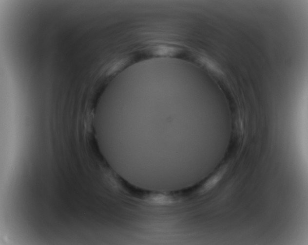 X0000084020325200703091953