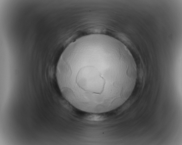 X0000084020326200703091953