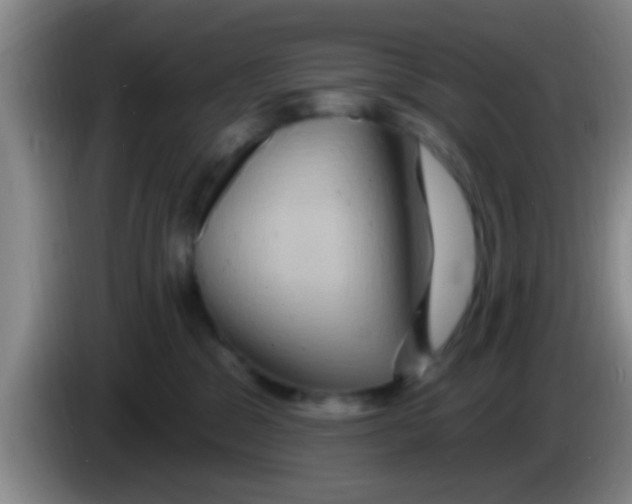 X0000084020329200703091953