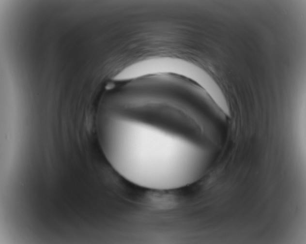 X0000084020331200703091953