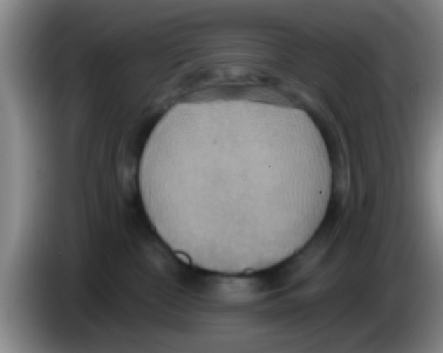 X0000084020332200703091953