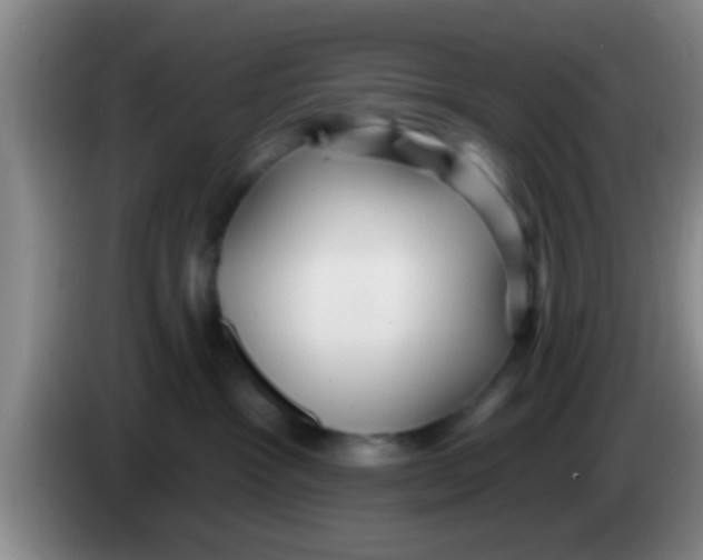 X0000084020333200703091953