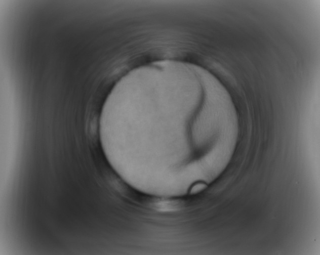 X0000084020336200703091953