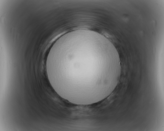 X0000084020338200703091952