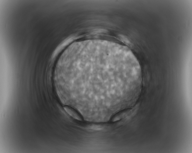 X0000084020341200703091952