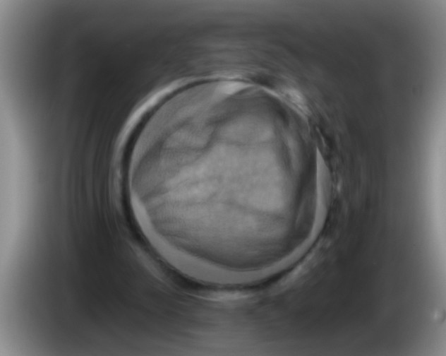 X0000084020342200703091952