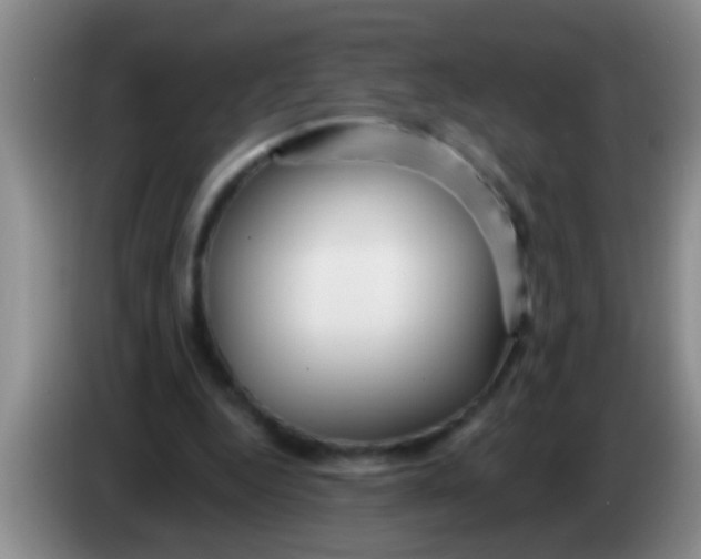 X0000084020344200703091952