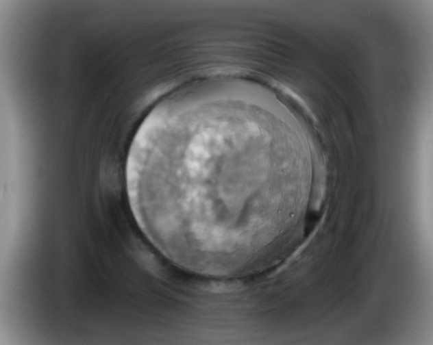 X0000084020345200703091952