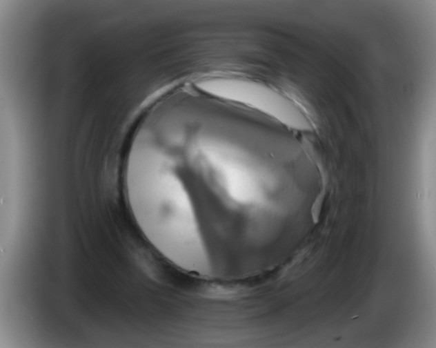 X0000084020346200703091952