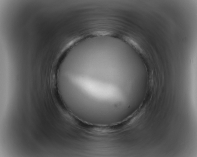 X0000084020351200703091952