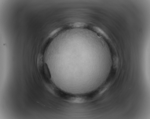 X0000084020356200703091953