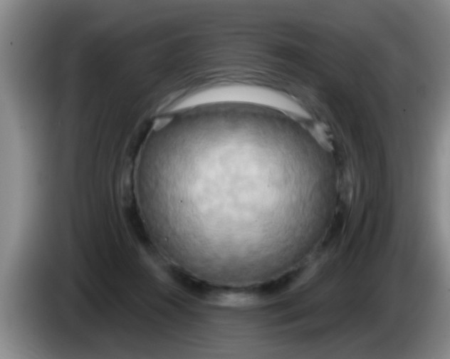 X0000084020360200703091953