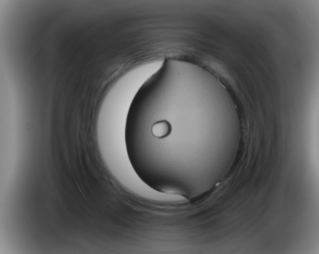 X0000084020362200703091953