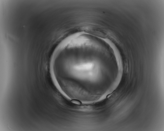 X0000084020363200703091953