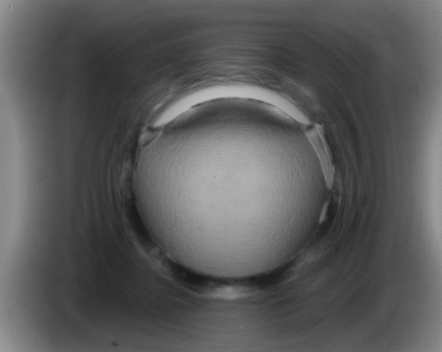 X0000084020364200703091953