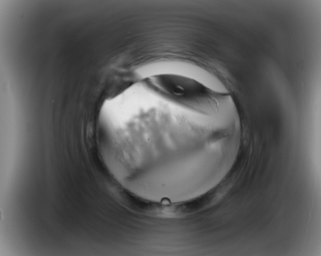 X0000084020365200703091953