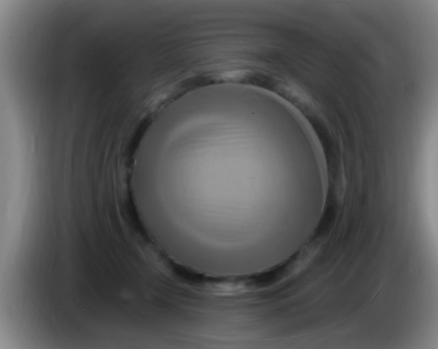 X0000084020366200703091953