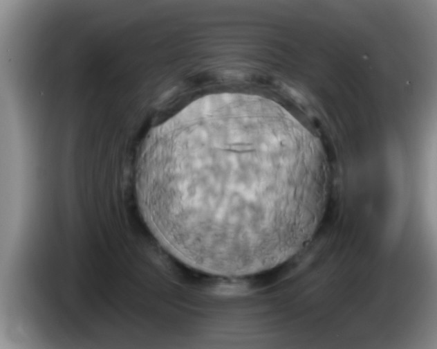 X0000084020369200703091953