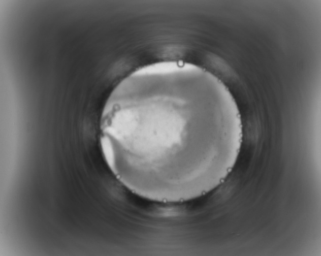 X0000084020370200703091953