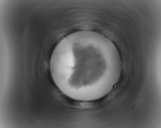 X0000084020371200703091953