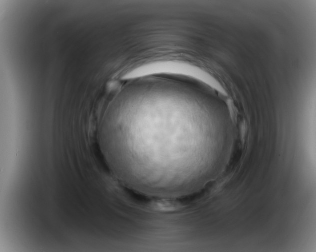 X0000084020372200703091953