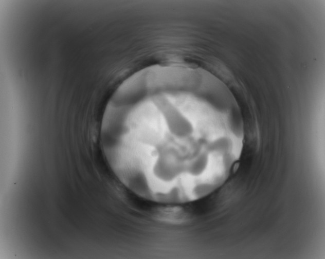 X0000084020374200703091953