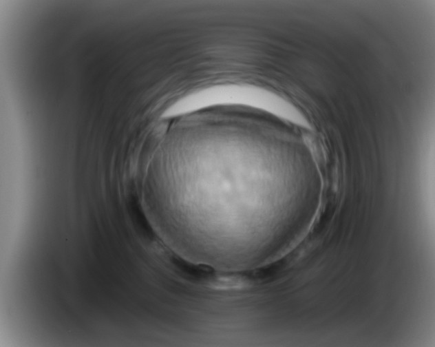 X0000084020376200703091953