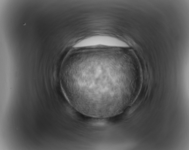 X0000084020377200703091953