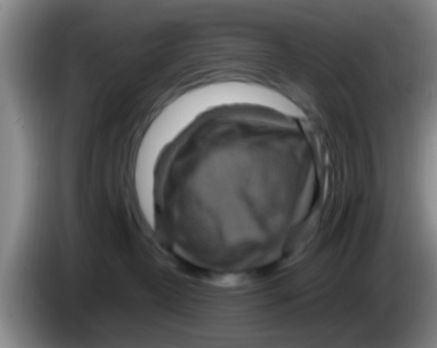 X0000084020382200703091953