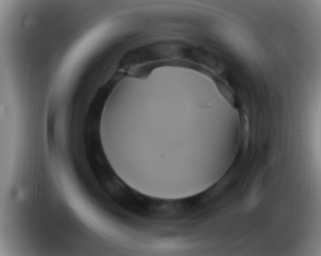 X0000084020383200703091953