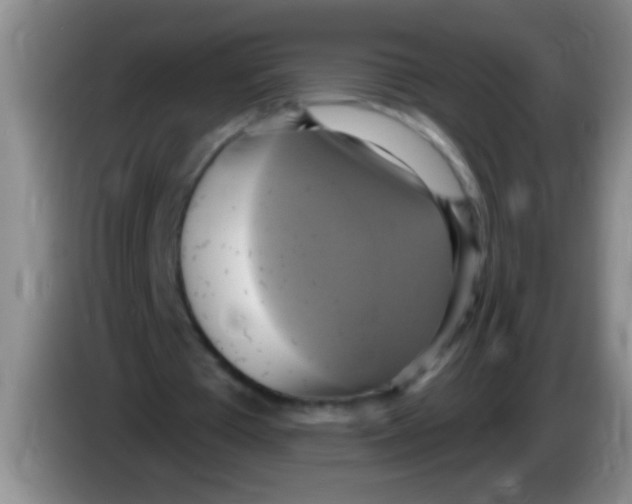 X0000084020385200703091952