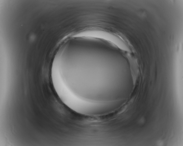 X0000084020386200703091952