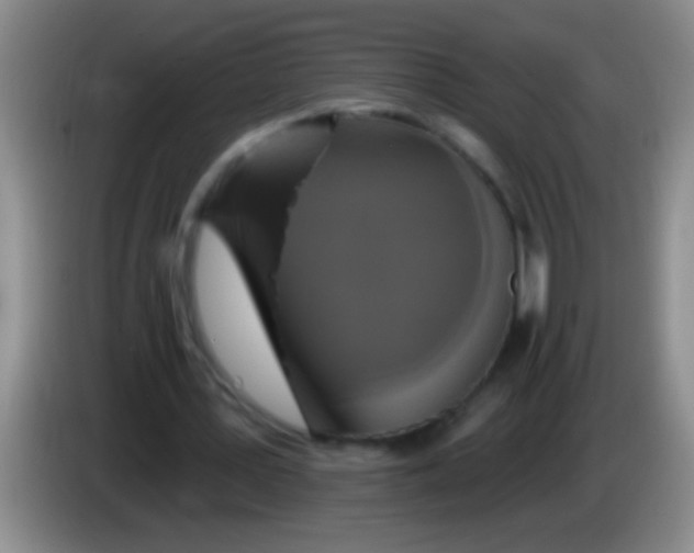 X0000084020387200703091952