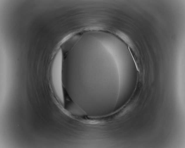 X0000084020389200703091952