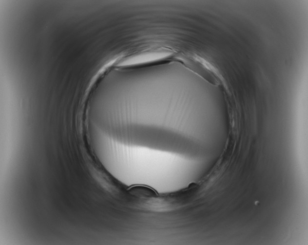 X0000084020390200703091952